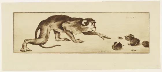 Singe et châtaignes, 19ème siècle